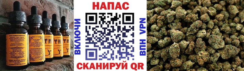 закладка  маркетплейс официальный сайт  Еда ТГК марихуана  Канаш 