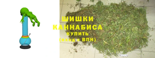 сатива Арсеньев