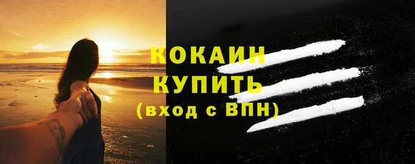 сатива Арсеньев