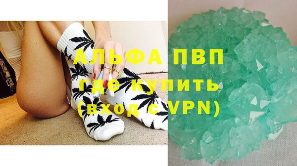 сатива Арсеньев