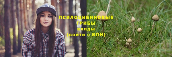 mdpv Галич