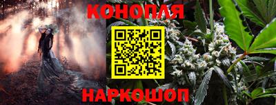 метадон Гатчина