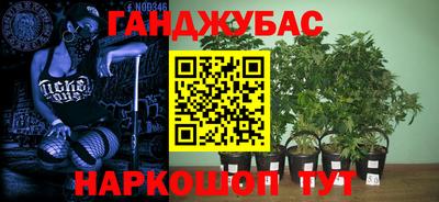 mdpv Гай