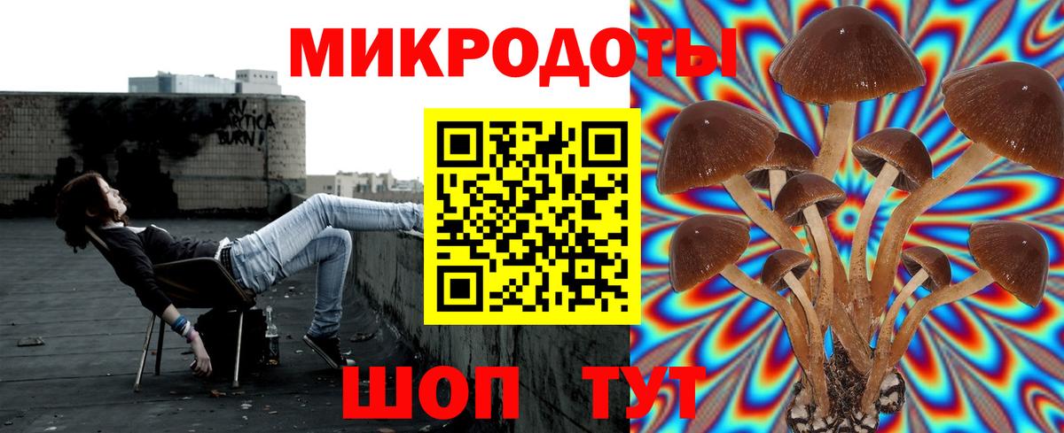 Псилоцибиновые грибы Magic Shrooms  Вход с VPN  Канаш 