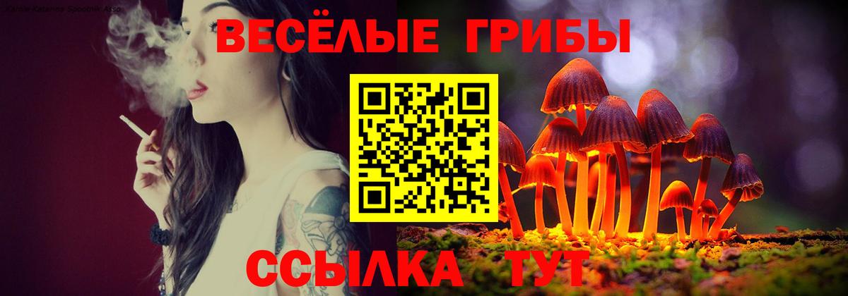 Галлюциногенные грибы мухоморы Канаш